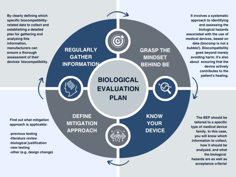 bep framework